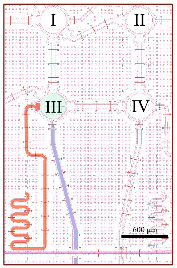 Рисунок 2. Фрагмент компоновки сверхпроводникового процессора: выбранные трансмоны (пронумерованы), линии управления и считывания, резонатор дисперсионного чтения. Источник: JETP Letters (2025)