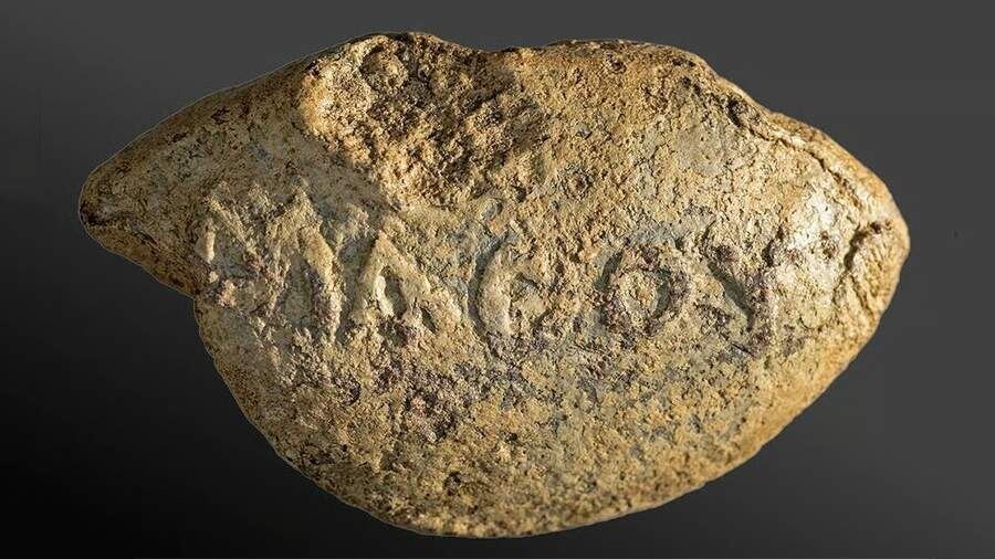 Фото: Dr. Michael Eisenberg