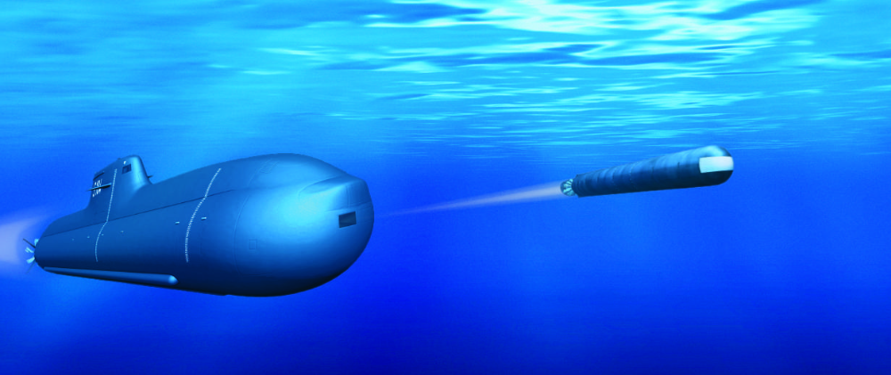 Немецкий «Морской окунь» против индийского «Тяжеловеса»: Нью-Дели выбирает торпеду для своих подлодок.  Фото: TKMS