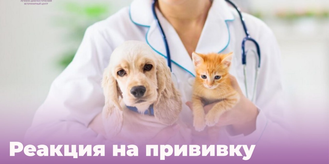 💉Вакцинация — важная часть заботы о здоровье питомца