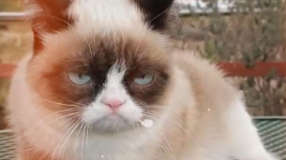 ФОТО: Кадр из программы "Как устроен мир", РЕН ТВ