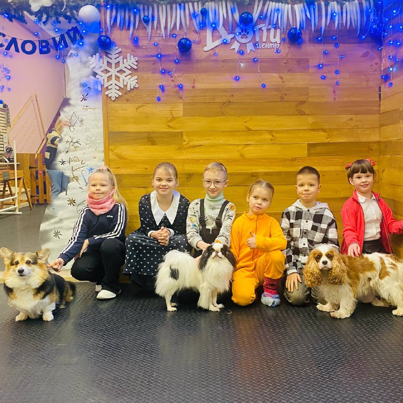 Экскурсия в Догги-центре