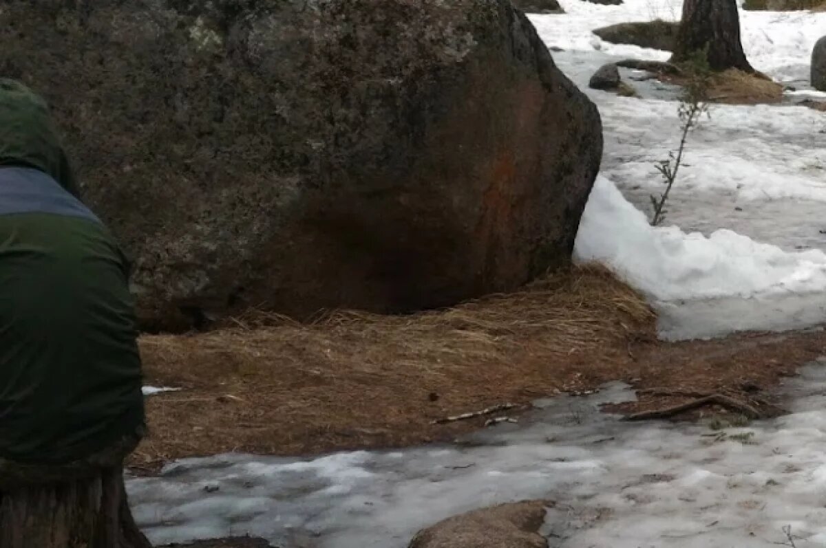    В регионе несколько дней подряд фиксируют температурные рекорды.