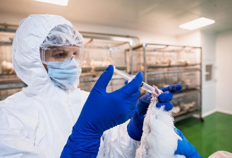    Фото: Федеральный центр охраны здоровья животных