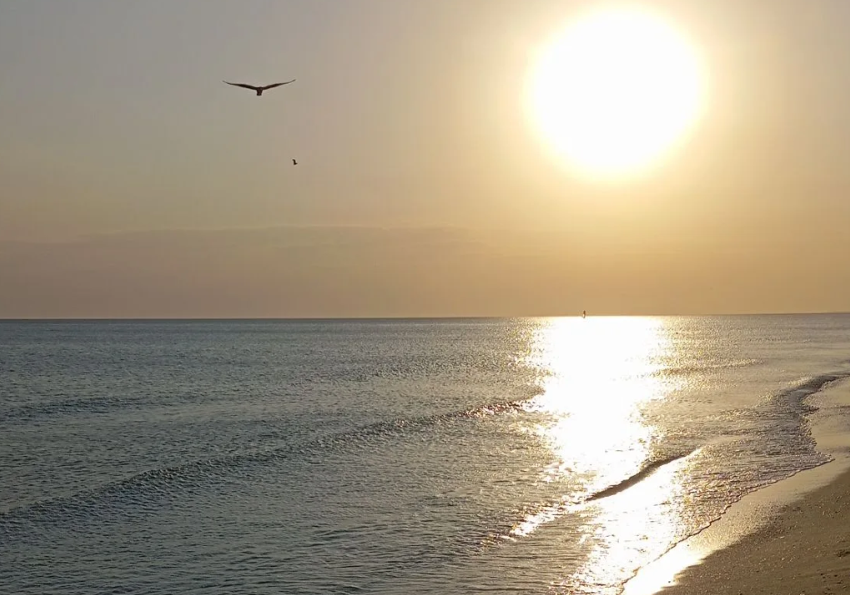 Фото из личного архива