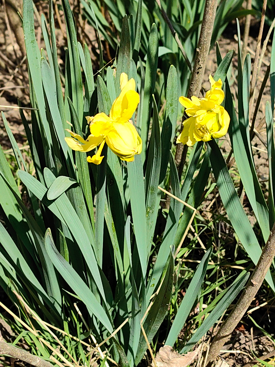 Фото автора канала