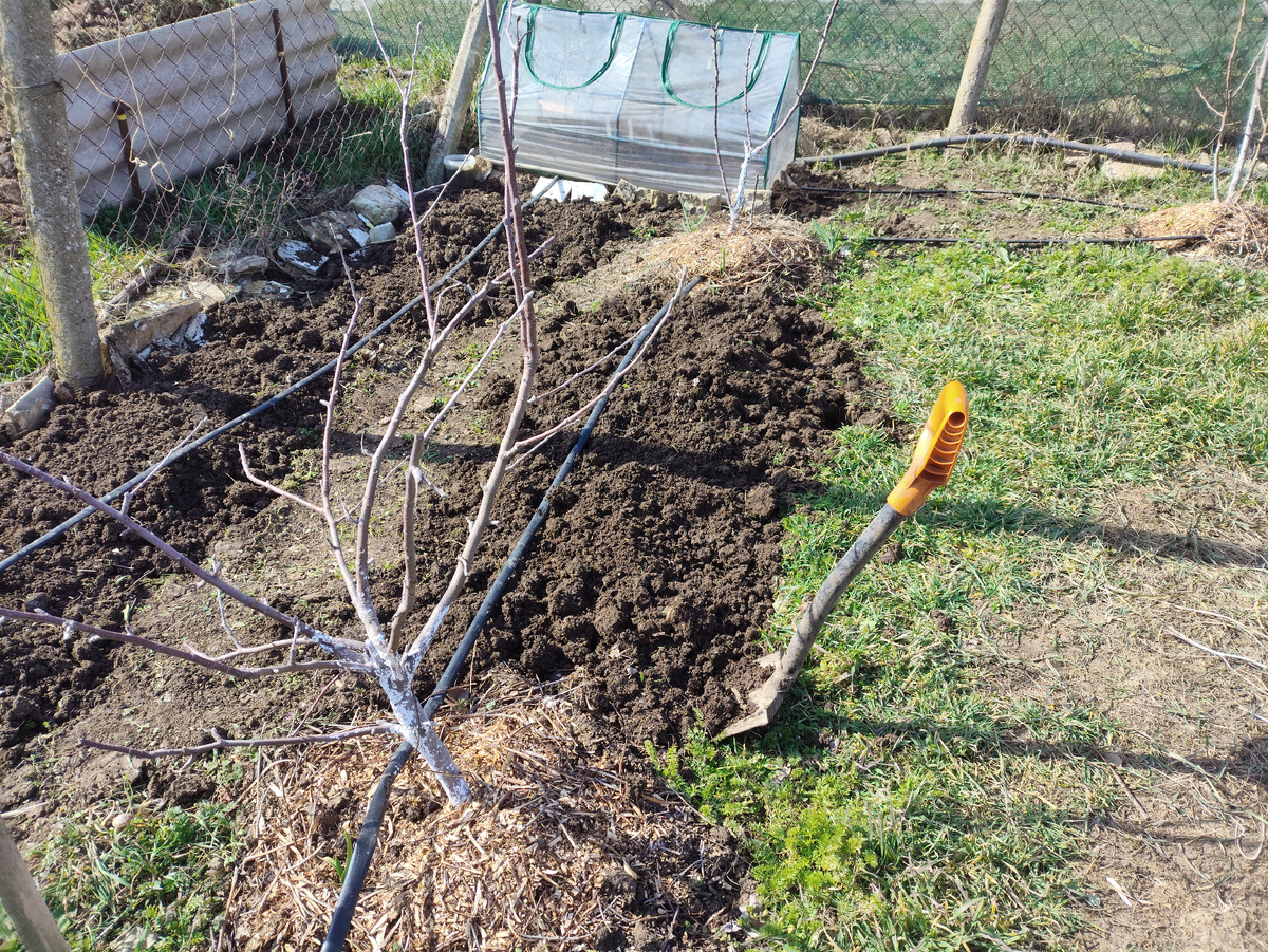 Перекопанная грядочка