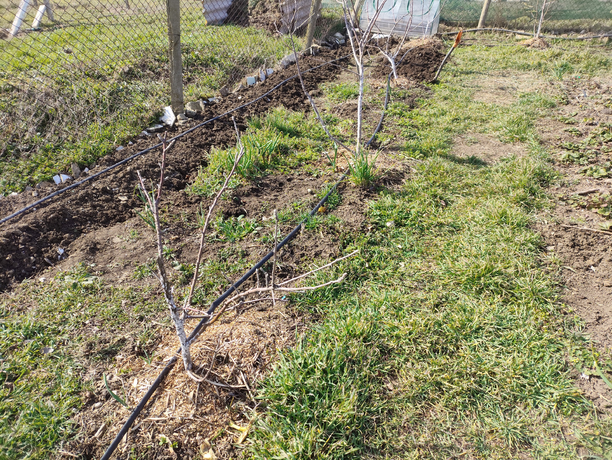 Еще два таких промежутка предстоит перелопатить.