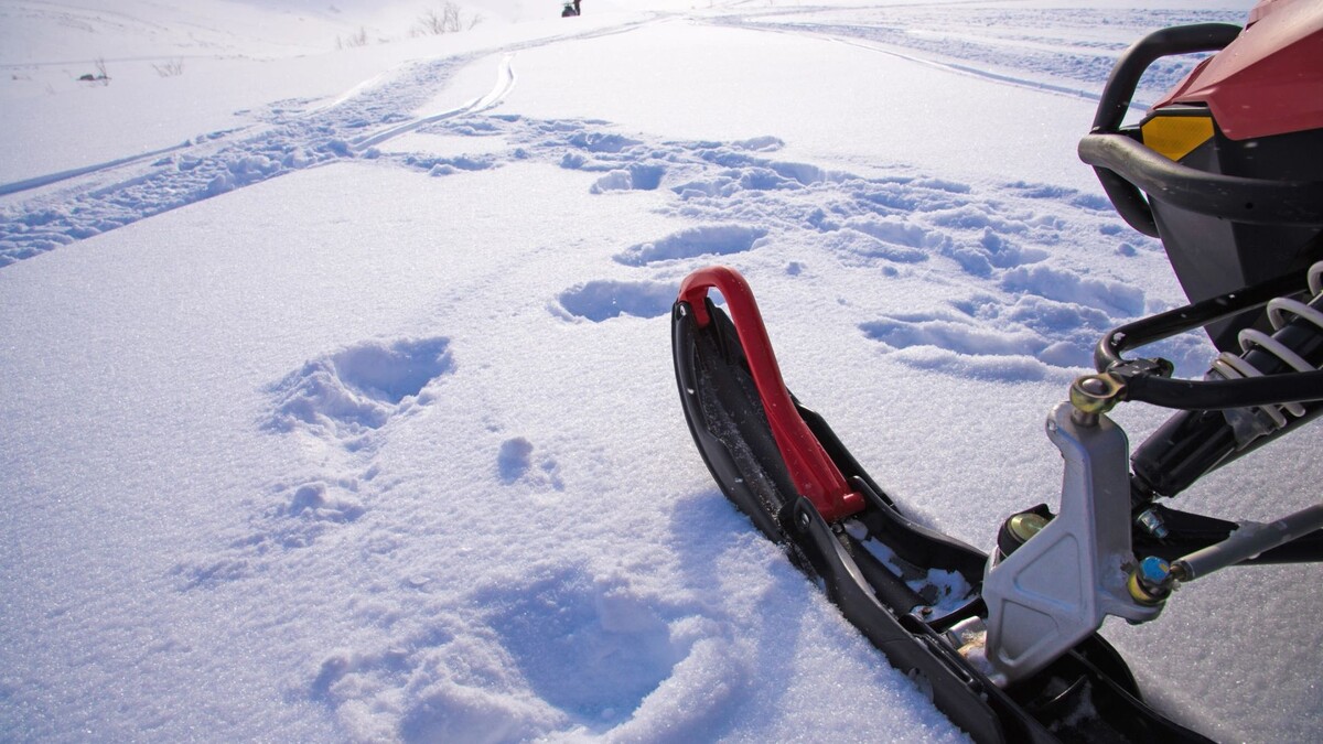    Фото: Natasha-Aleksandra / Shutterstock / Fotodom