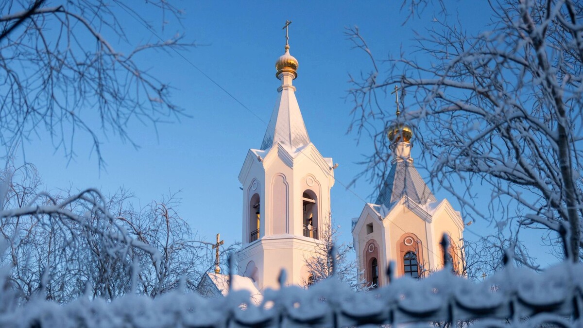    Фото: Федор Воронов/«Ямал-Медиа»