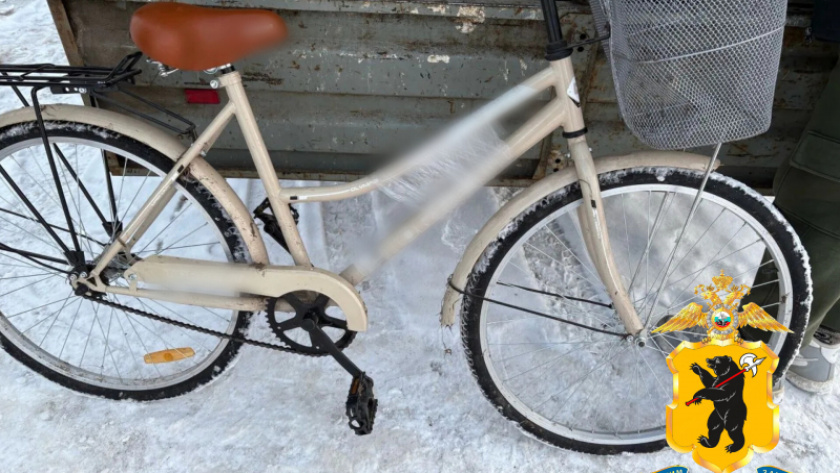    фото пресс-службы УМВД России по Ярославской области