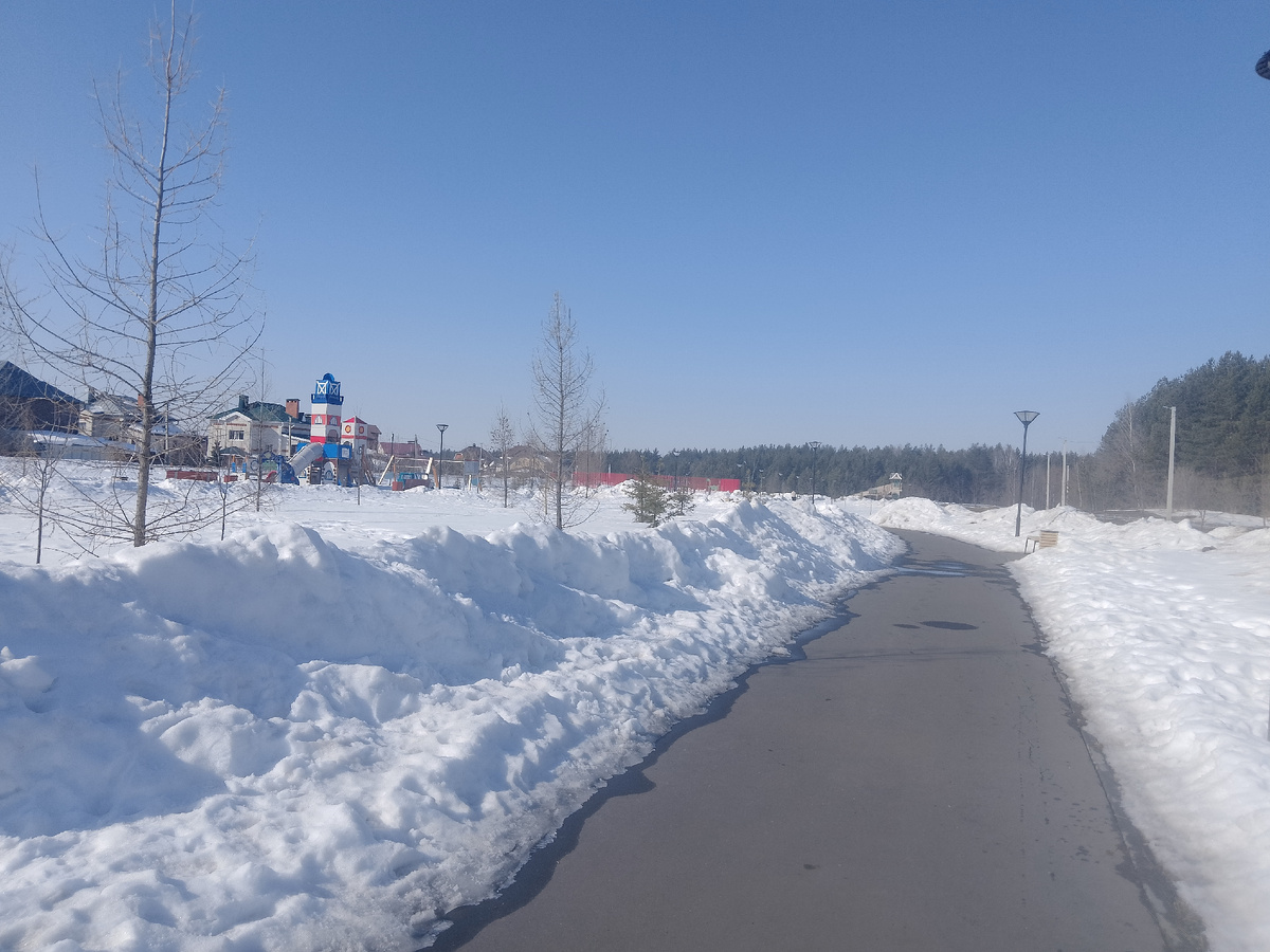 Фото  автора, наш сквер