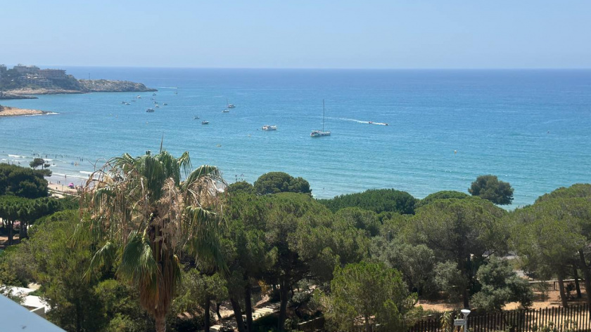    Первый городской канал Калининград