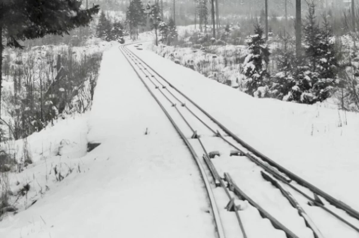    В Прикамье оштрафовали виновных в сходе вагона с ж/д путей