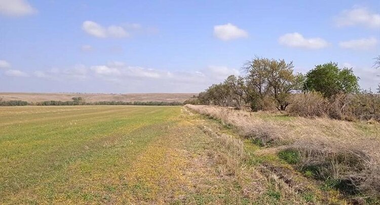    Фото: ФГБУ ЦОК АПК