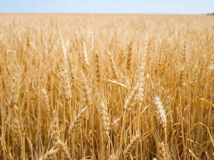     Фото сгенерировано ИИ