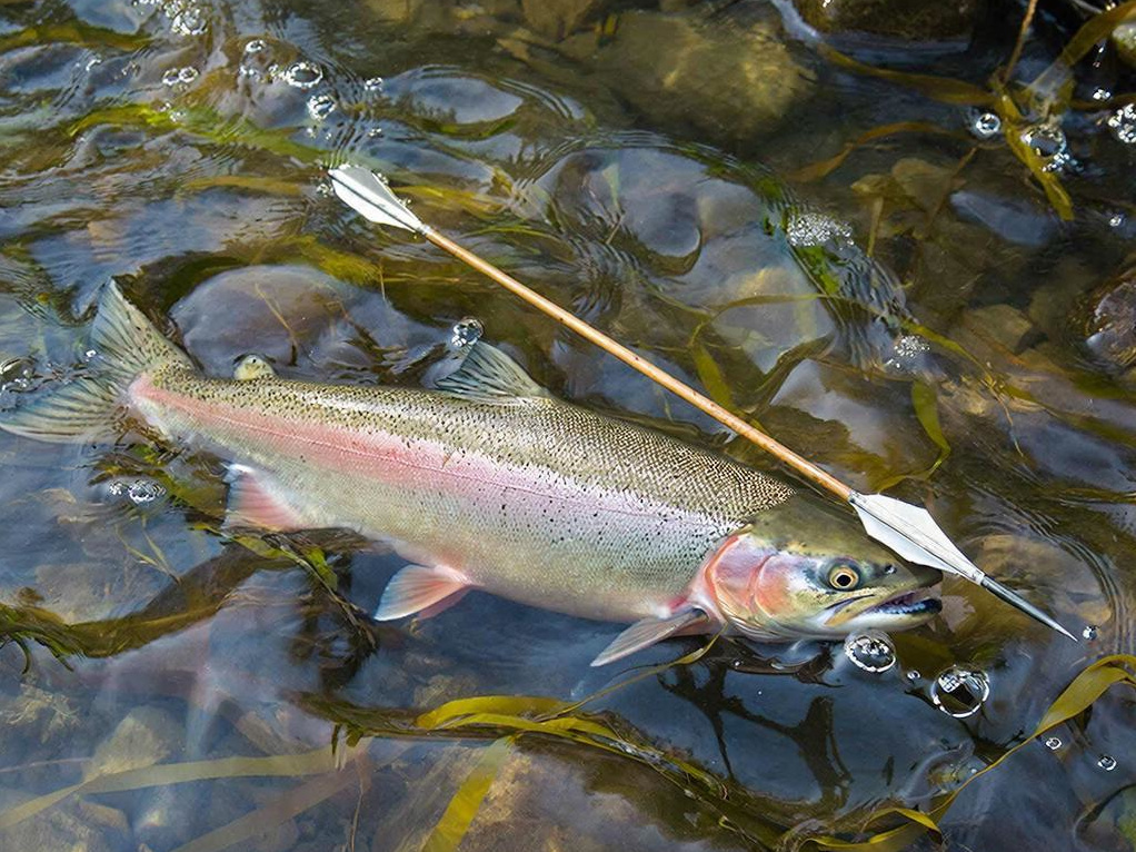 Изображение: ГигаЧат