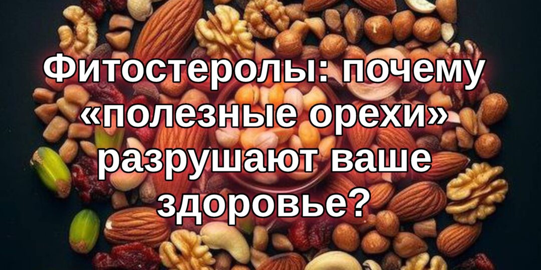 Фитостеролы: почему “полезные орехи” разрушают ваше здоровье?
