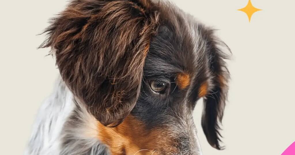 Если хотите разобраться как распознать лямблиоз, какие анализы информативны, чем лечат и как не поймать повторно - собрали всю информацию в