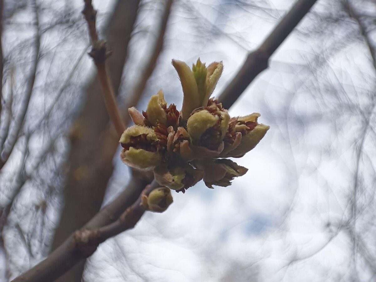    © Зарина Ситдикова