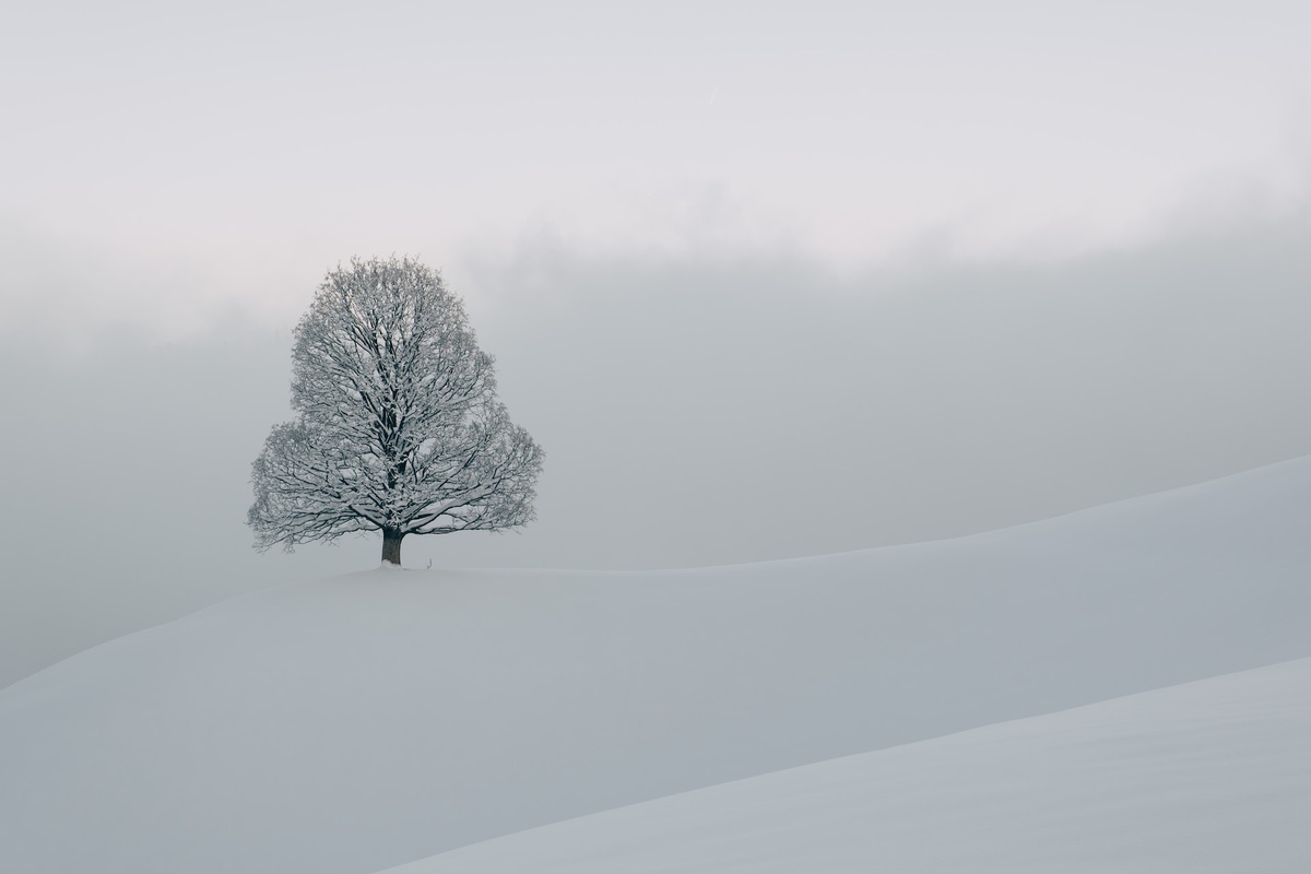    Типичный лёгкий снежный недосвет / Фото: unsplash.com
