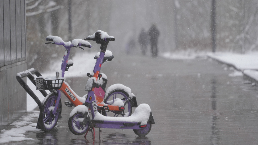   Фото: ИЗВЕСТИЯ/Дмитрий Коротаев