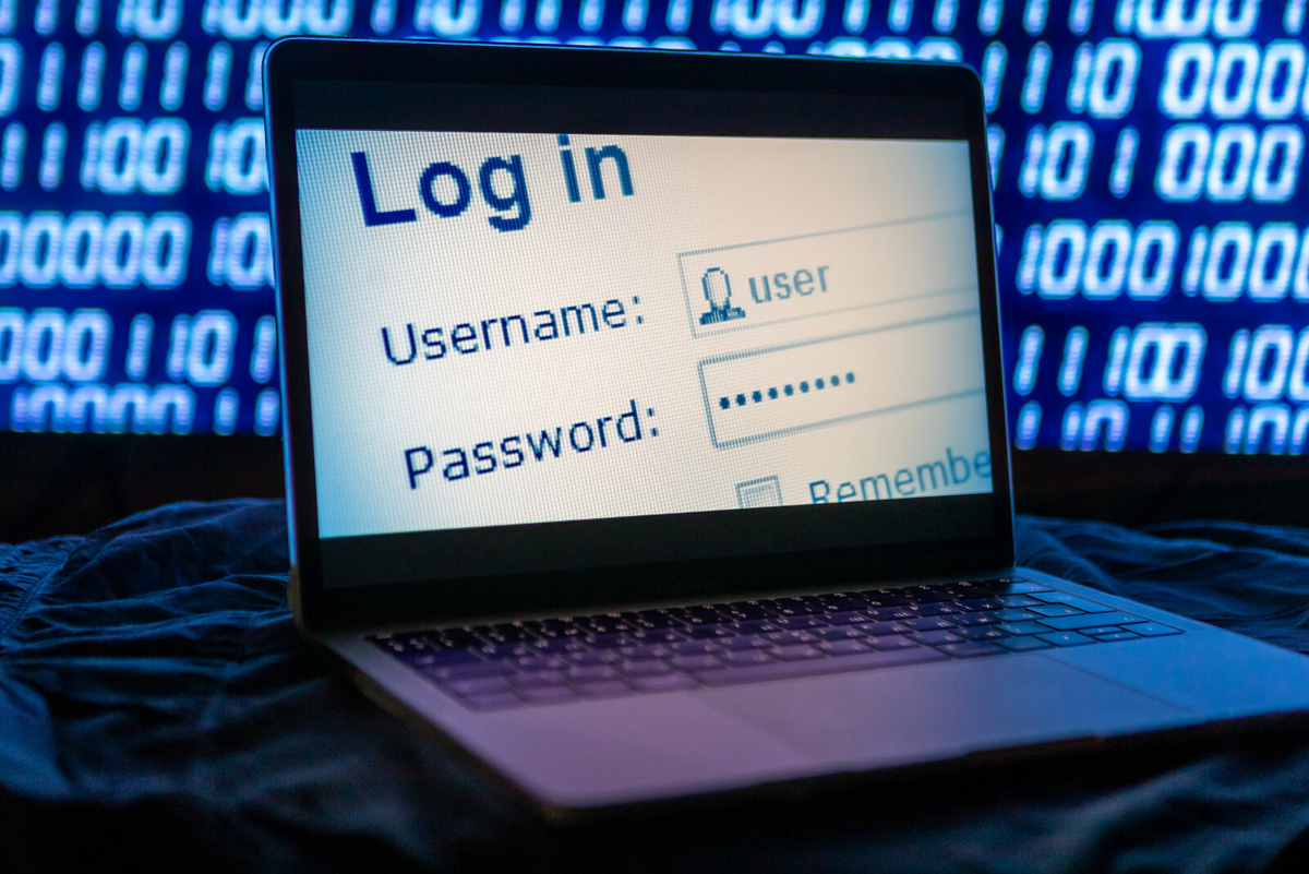 Фото: Александр Глуз / «Петербургский дневник»