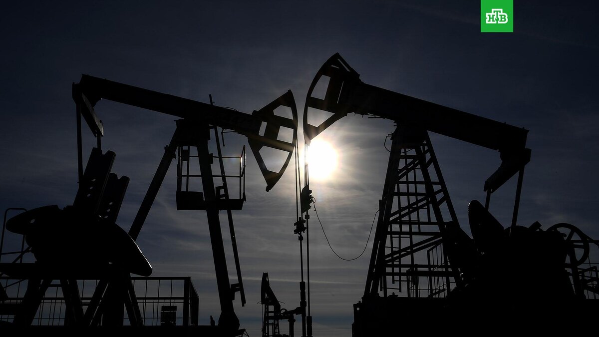    Фото: РИА Новости © 2026, Максим Богодвид