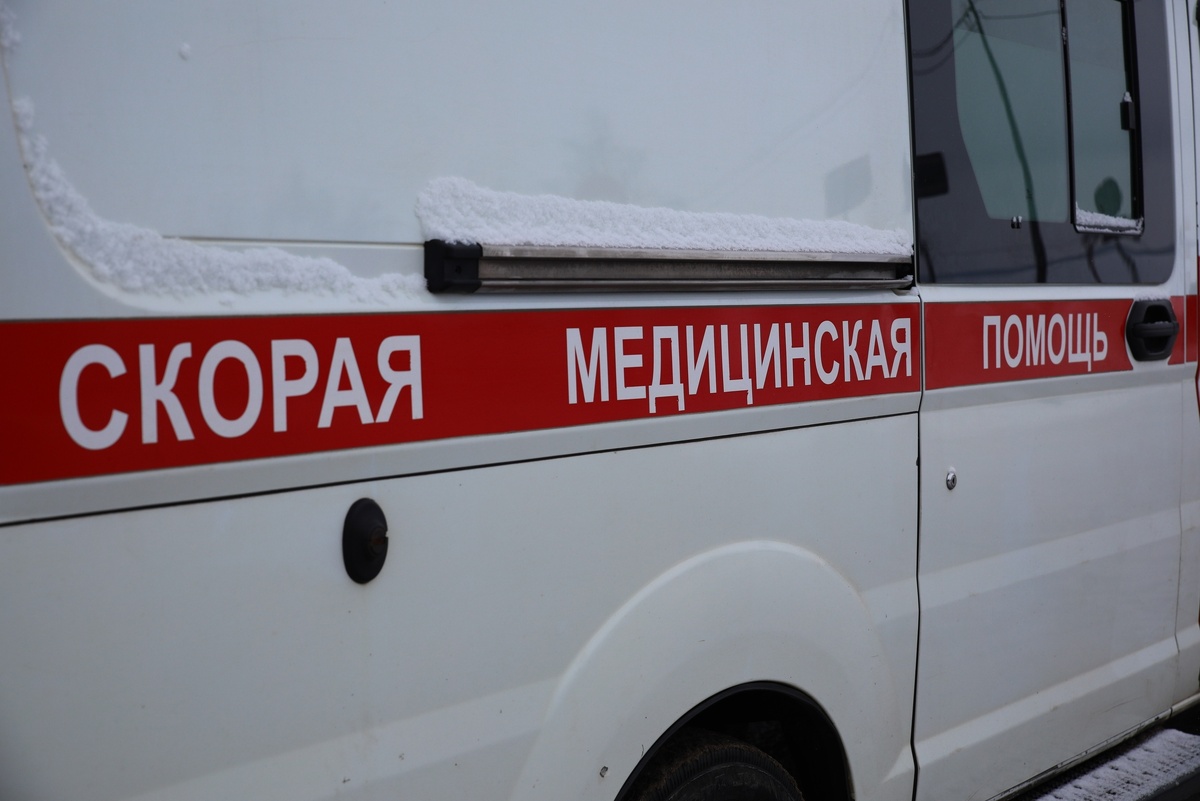    фото: © Людмила Корвякова/Столица на Онего