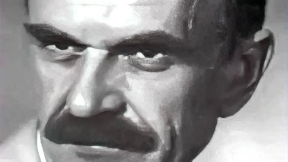    Источник: vm.ru/ Ева Журавлева