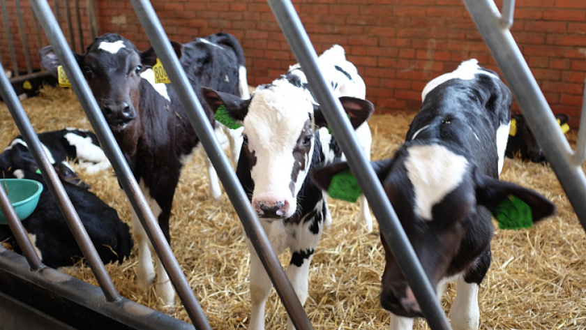    Фото правительства Кировской области