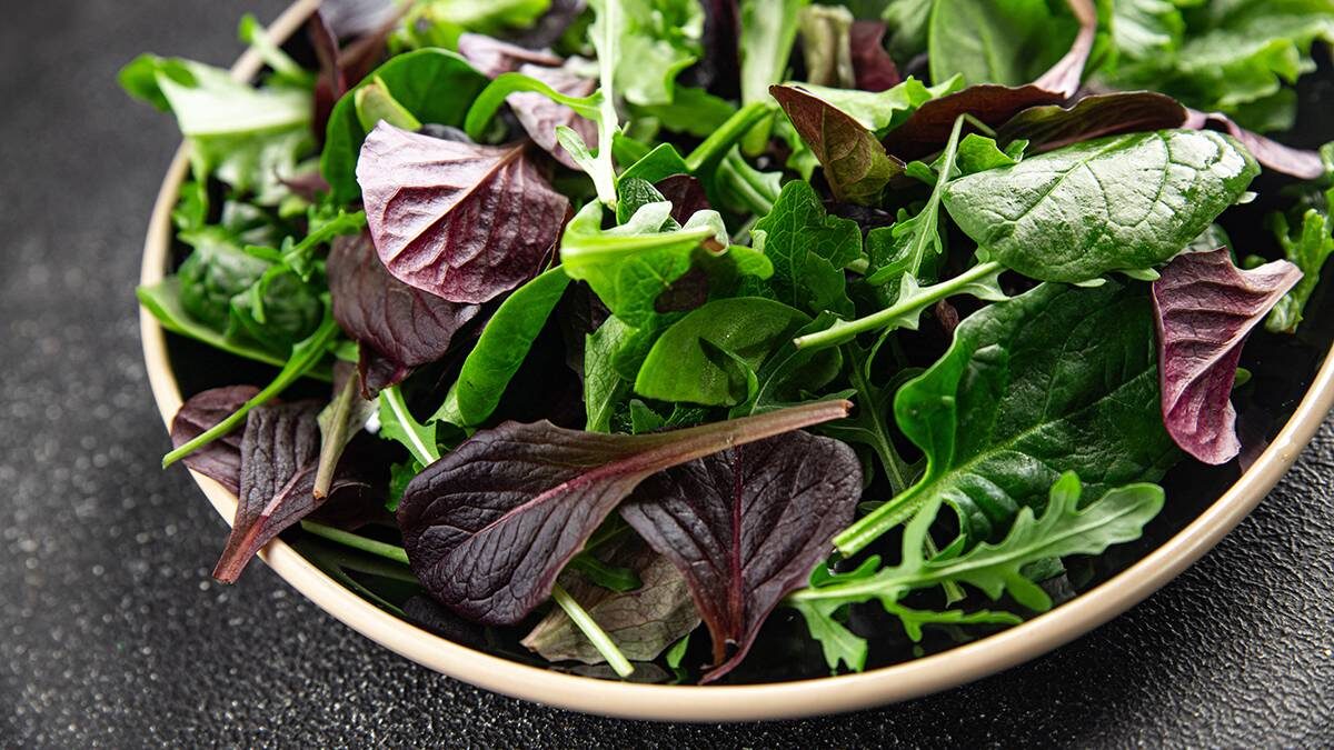    Фото: Shutterstock