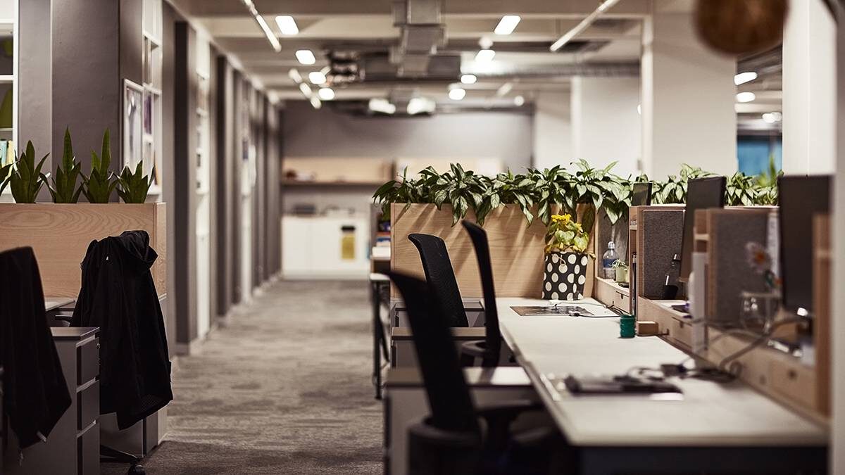    Фото: Shutterstock