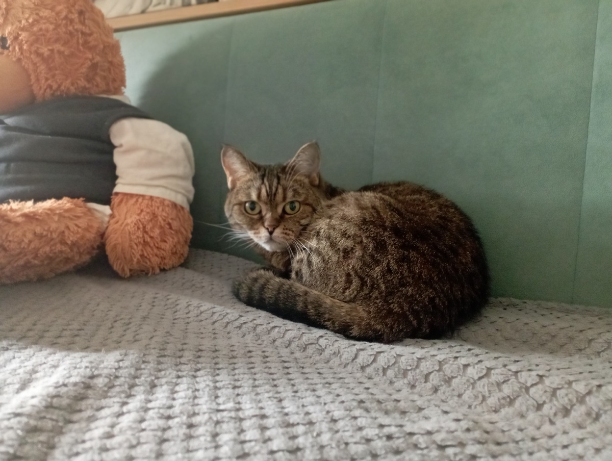 Барышни легли и просят не беспокоить... Масяня. 