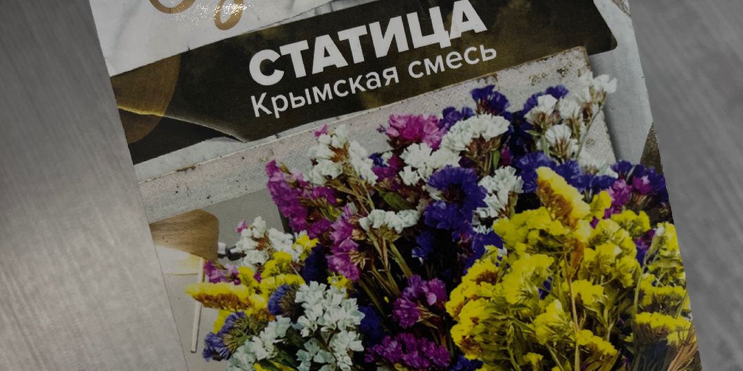 Статица - красавица. Сухоцвет в саду.