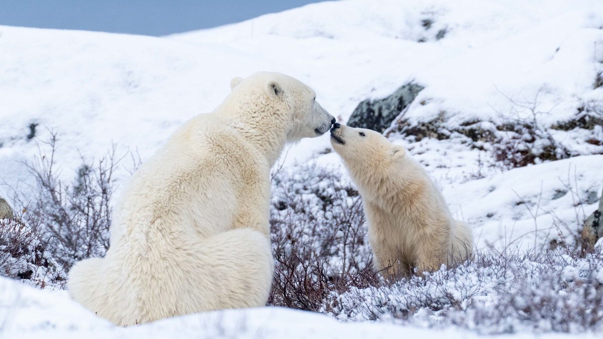   Фото несет иллюстративный характер