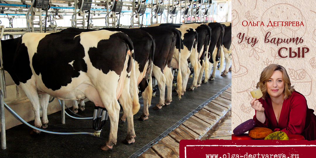 У вас есть молоко на продажу, у нас есть покупатели!