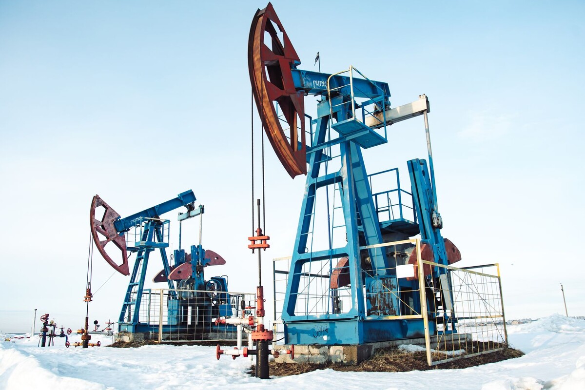     / Источник: © Oleg Spiridonov/Global Look Press