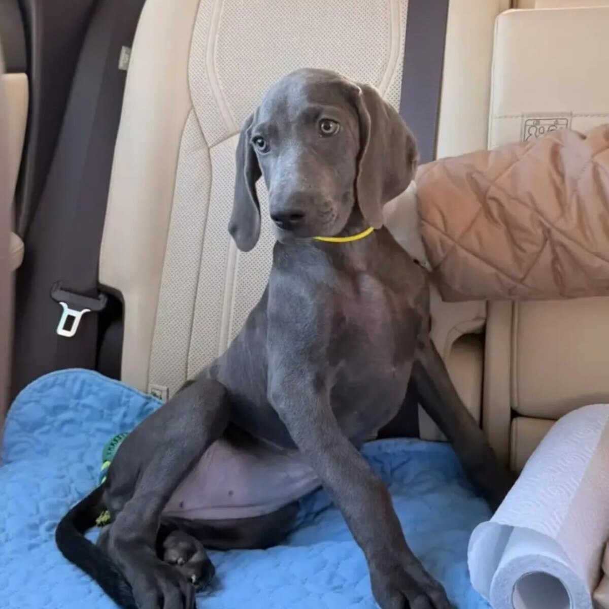     Личный архив