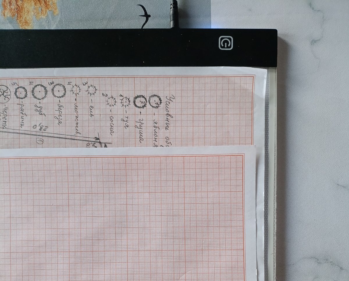 Световой планшет оказался очень нужной штукой в таком обучении