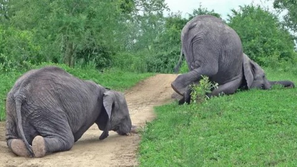 Источник фото: https://avatars.mds.yandex.net/i?id=aa04852b7ddc0a8f716ee7c3bd38beb79ee83dea-12398098-images-thumbs&n=13