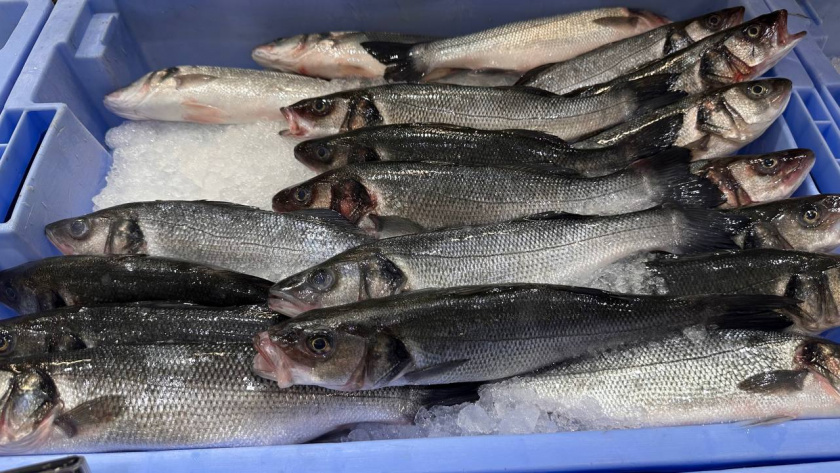    Первый городской канал Калининград