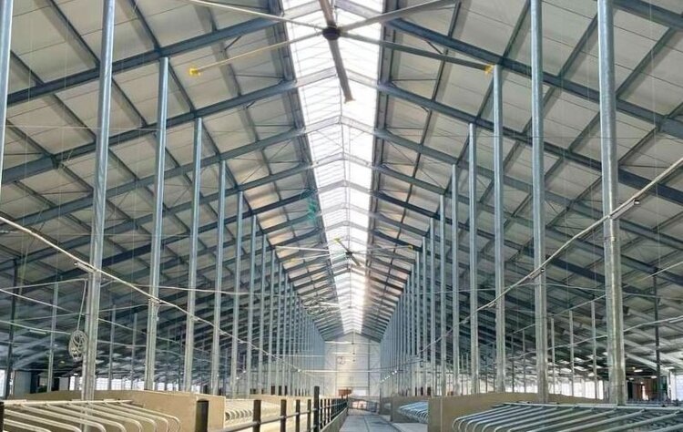    Фото: Минсельхозпрод Московской области