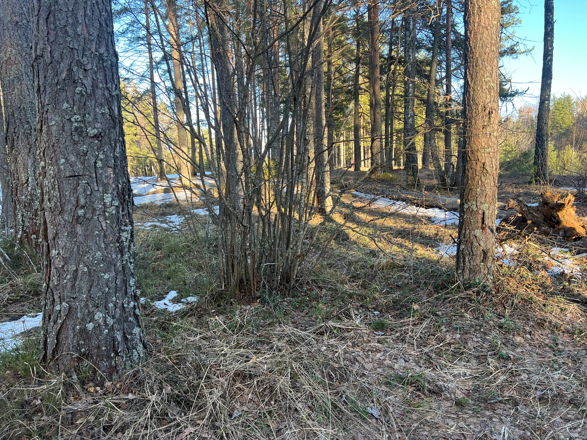 Только самый край карьера оттаял