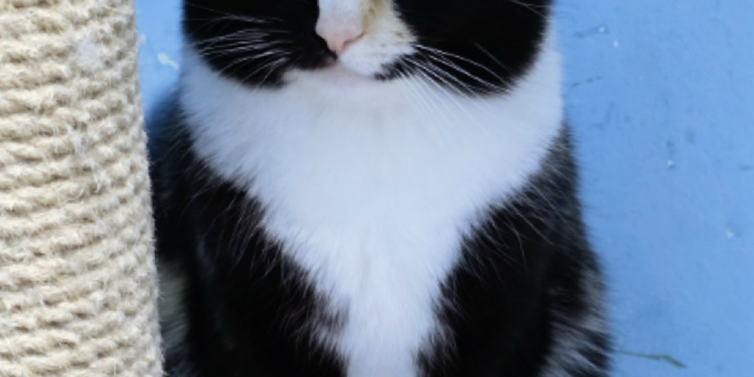 Снег за окном, а мое сердце стучит от холода и одиночества