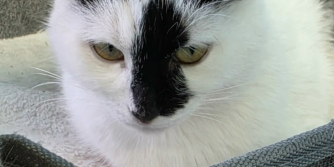 Каждый день я надеюсь на лучшее — на дом, где меня будут любить и заботиться обо мне