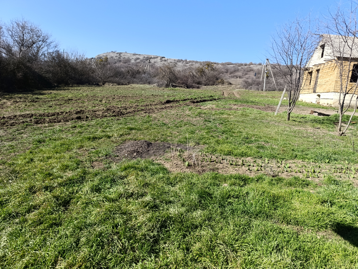 До вспашки.