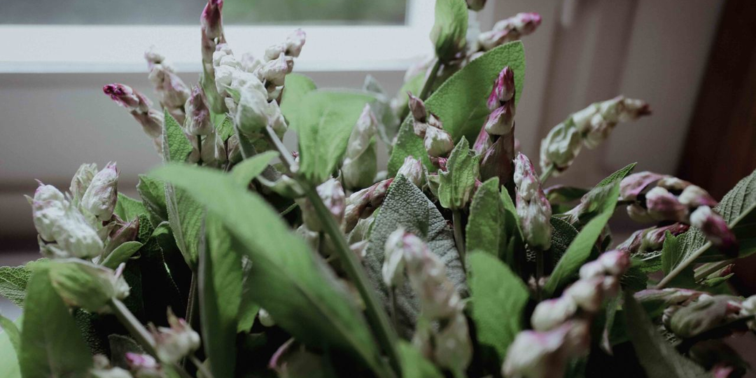 Как работать с растительным сырьем или Что на чём настаивать