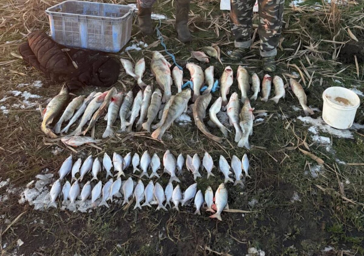    Фото: из архива АЧТУ Росрыболовства