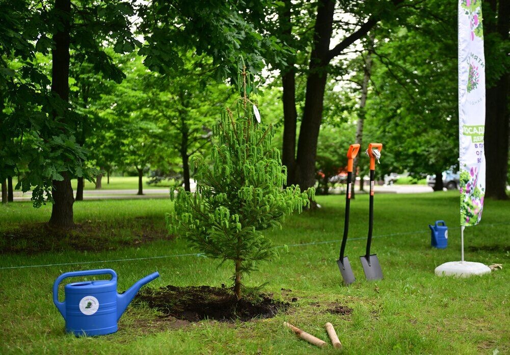     / Источник: © Киселев Сергей/Агентство «Москва»